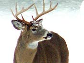 Adirondack Region of Northern New York Adirondack 6 million-acre Park