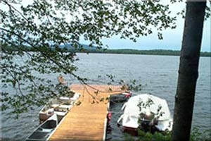 Enlarged view of image