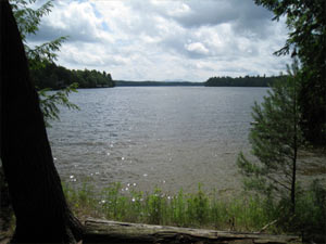 Enlarged view of image