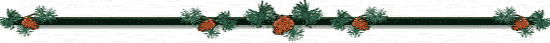 Waterfront Vacation Rentals, Adirondack Waterfront Homes, Adirondack Vacation Rentals