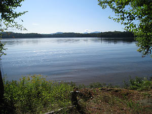Enlarged view of image