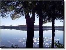 WATERFRONT REAL ESTATE, Adirondack Real Estate Properties, Saranac Lake Properties