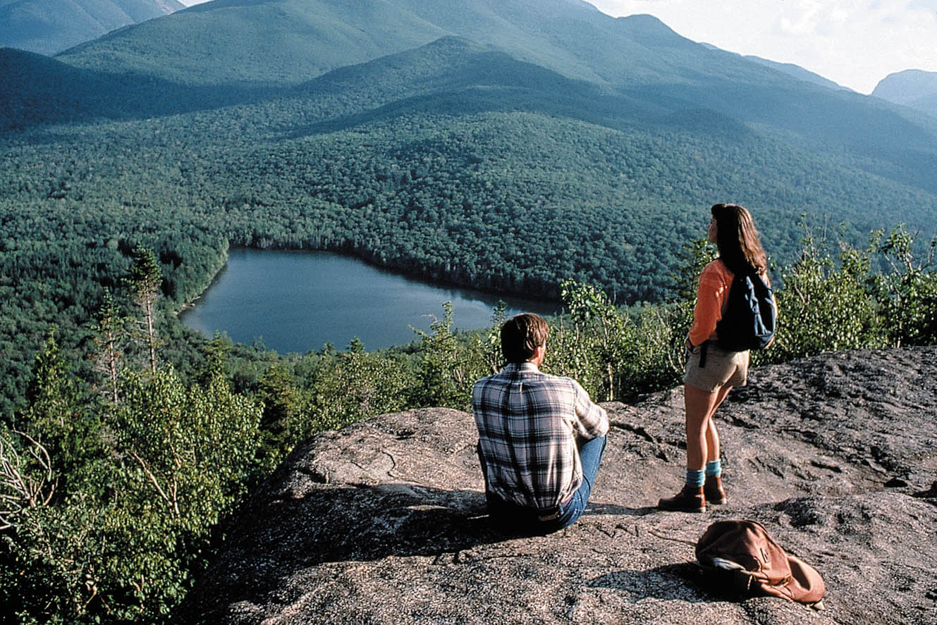 Enlarged view of image