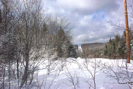 Real Estate Properties NY