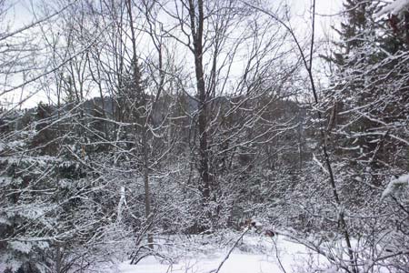 Saranac Lake Adirondack Properties